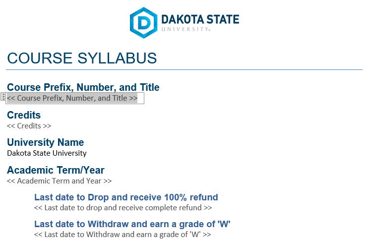 Initial appearance of the syllabus template